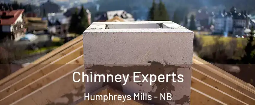 Chimney Experts Humphreys Mills - NB
