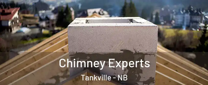 Chimney Experts Tankville - NB