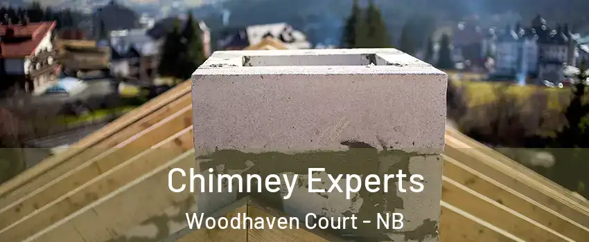 Chimney Experts Woodhaven Court - NB