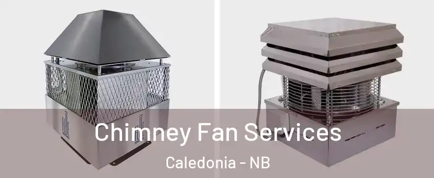  Chimney Fan Services Caledonia - NB