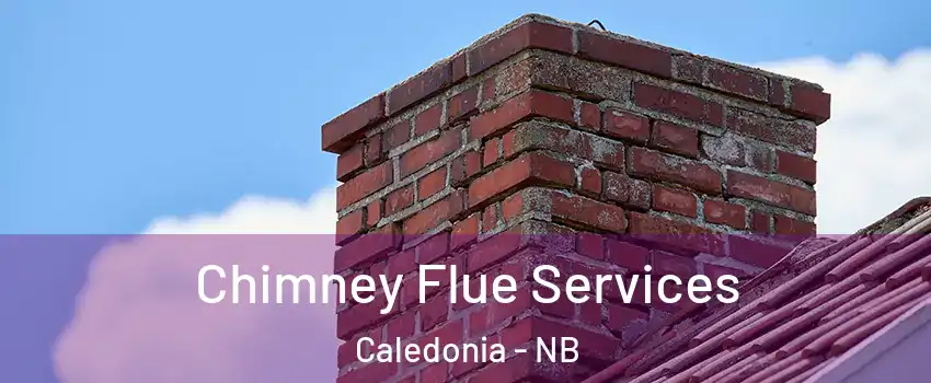  Chimney Flue Services Caledonia - NB