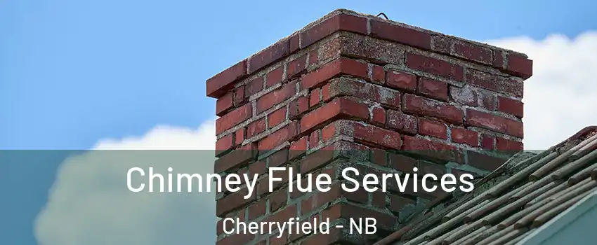  Chimney Flue Services Cherryfield - NB