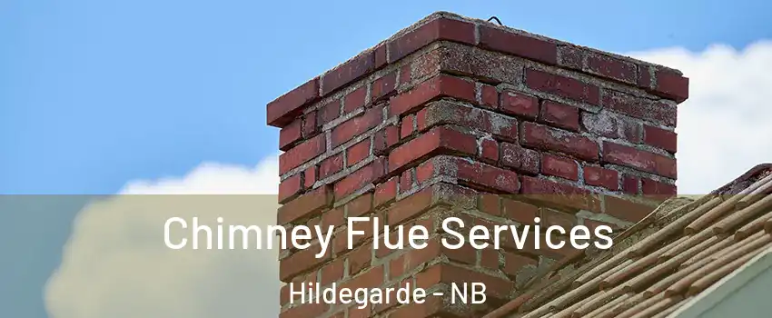  Chimney Flue Services Hildegarde - NB