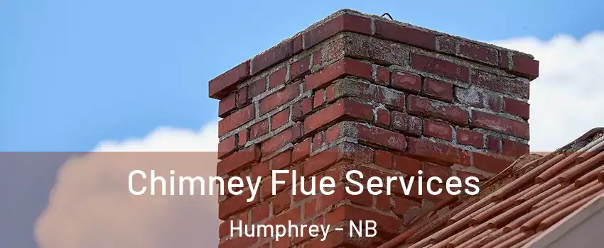  Chimney Flue Services Humphrey - NB