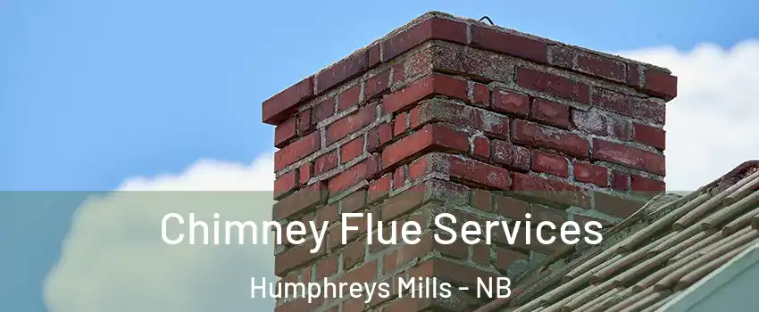  Chimney Flue Services Humphreys Mills - NB
