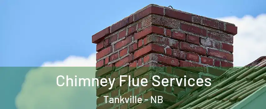  Chimney Flue Services Tankville - NB