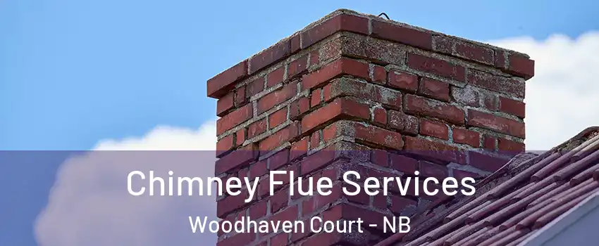  Chimney Flue Services Woodhaven Court - NB