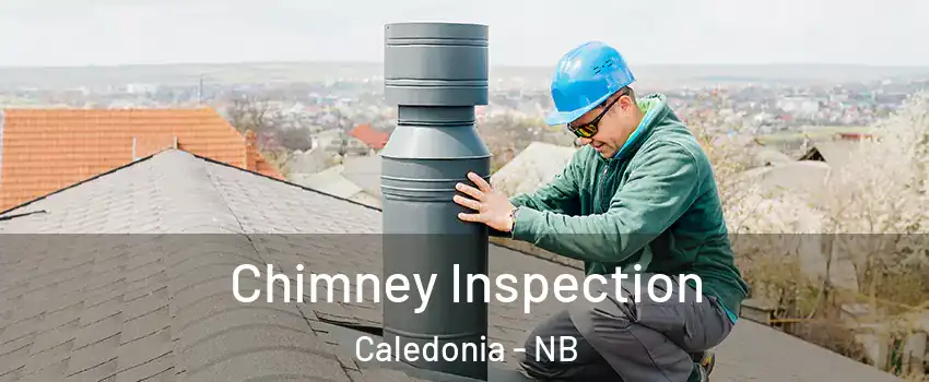  Chimney Inspection Caledonia - NB