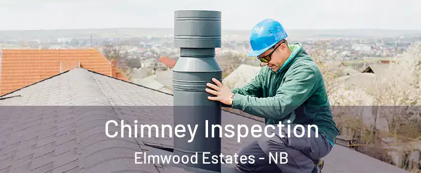  Chimney Inspection Elmwood Estates - NB