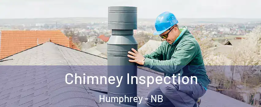  Chimney Inspection Humphrey - NB