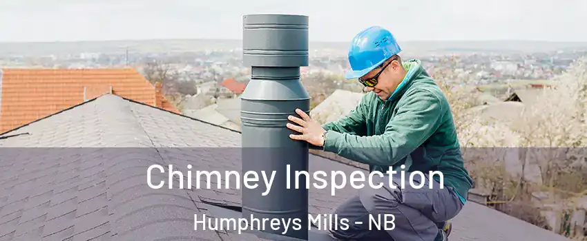  Chimney Inspection Humphreys Mills - NB