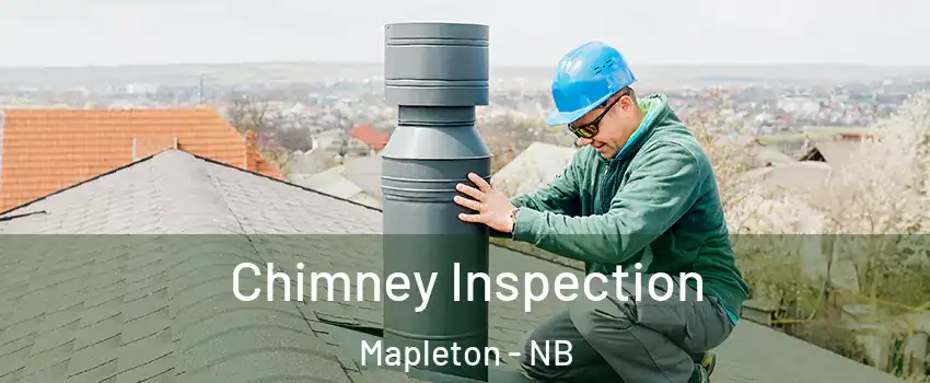  Chimney Inspection Mapleton - NB