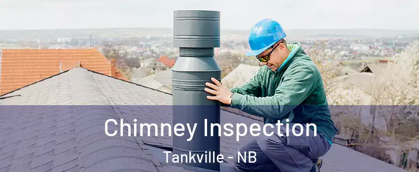  Chimney Inspection Tankville - NB