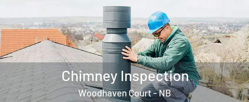  Chimney Inspection Woodhaven Court - NB