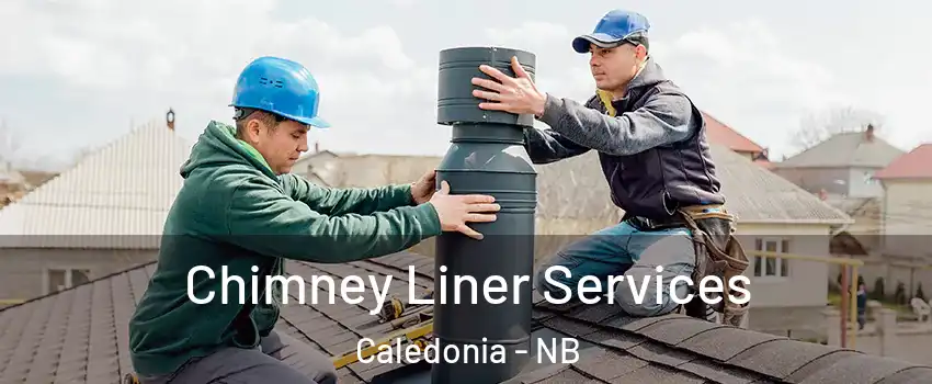  Chimney Liner Services Caledonia - NB