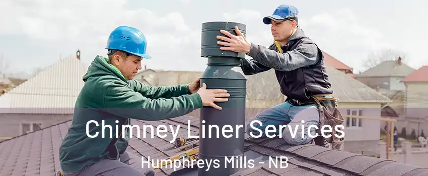  Chimney Liner Services Humphreys Mills - NB
