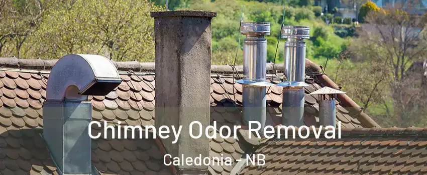  Chimney Odor Removal Caledonia - NB