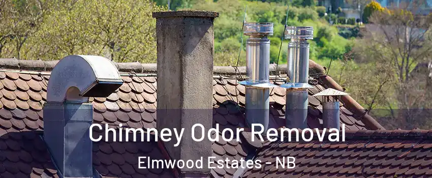  Chimney Odor Removal Elmwood Estates - NB