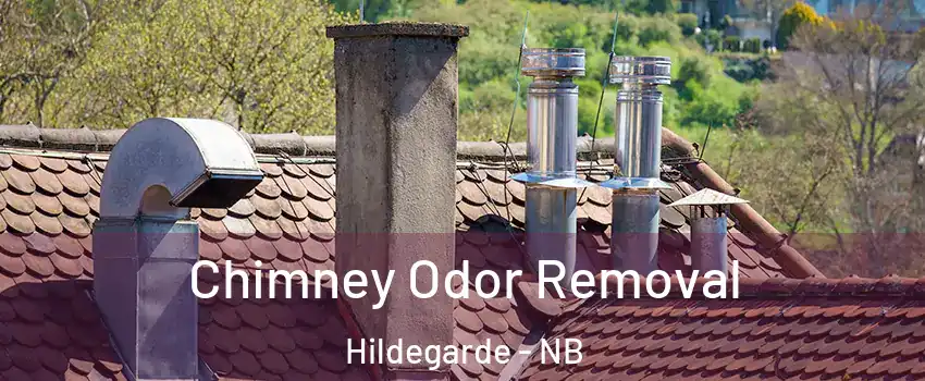  Chimney Odor Removal Hildegarde - NB