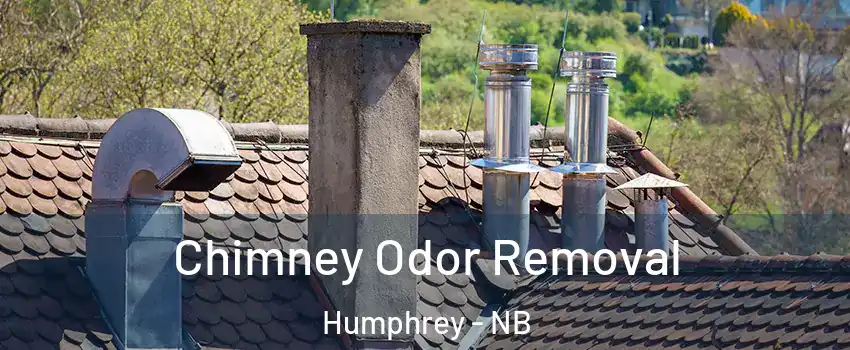  Chimney Odor Removal Humphrey - NB