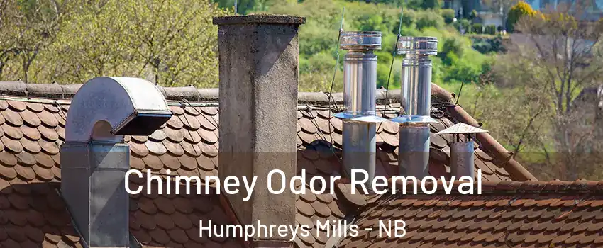  Chimney Odor Removal Humphreys Mills - NB