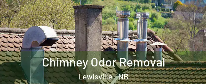  Chimney Odor Removal Lewisville - NB