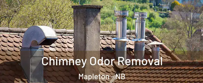  Chimney Odor Removal Mapleton - NB