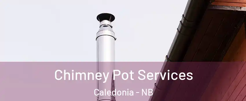  Chimney Pot Services Caledonia - NB