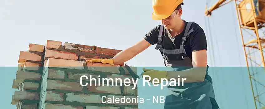  Chimney Repair Caledonia - NB