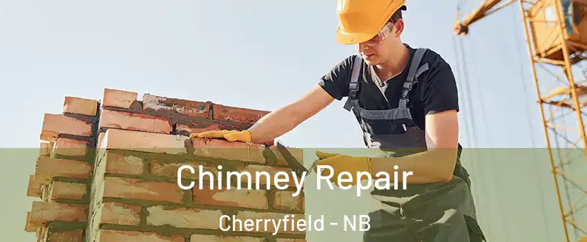  Chimney Repair Cherryfield - NB