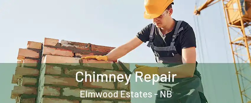  Chimney Repair Elmwood Estates - NB