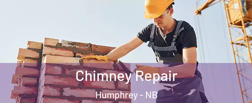  Chimney Repair Humphrey - NB