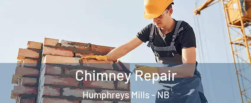  Chimney Repair Humphreys Mills - NB