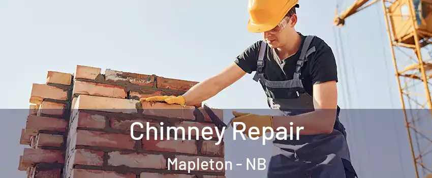  Chimney Repair Mapleton - NB