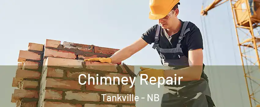 Chimney Repair Tankville - NB