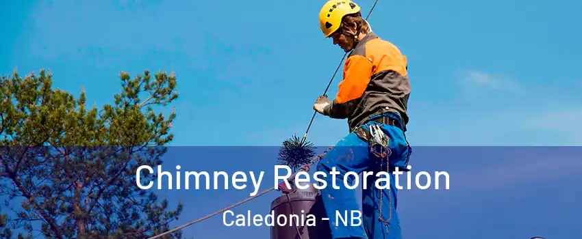  Chimney Restoration Caledonia - NB