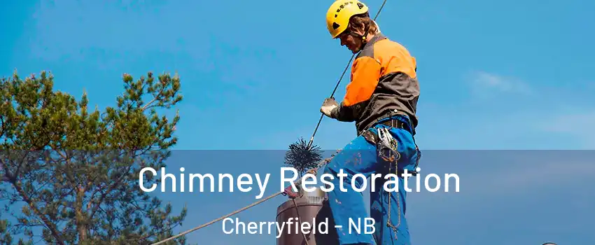  Chimney Restoration Cherryfield - NB