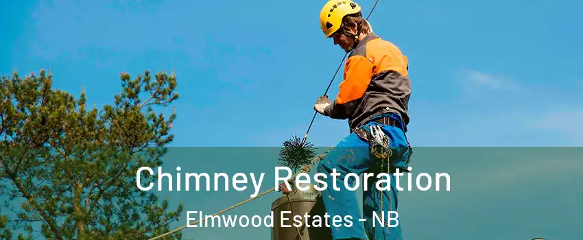  Chimney Restoration Elmwood Estates - NB