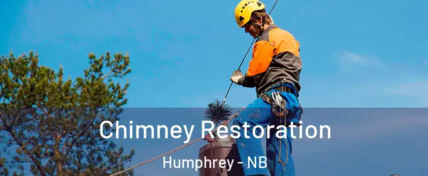 Chimney Restoration Humphrey - NB