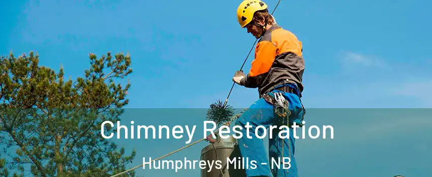  Chimney Restoration Humphreys Mills - NB