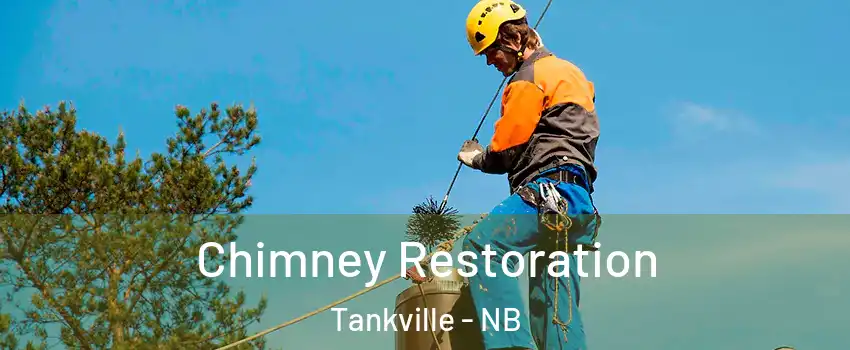  Chimney Restoration Tankville - NB