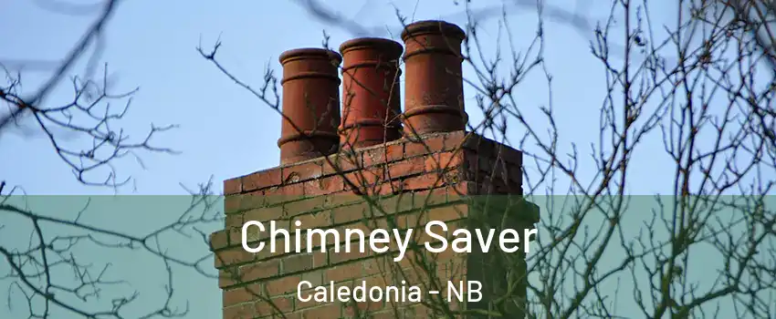  Chimney Saver Caledonia - NB