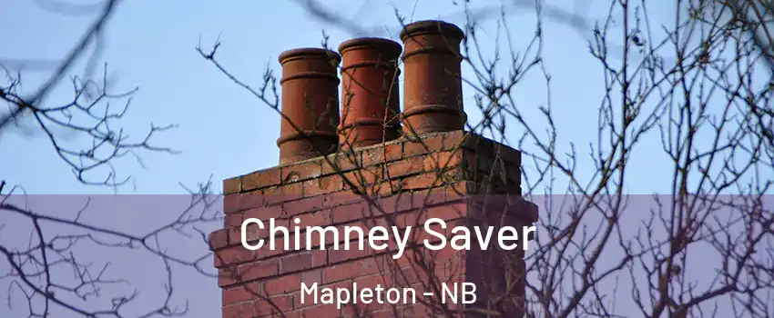  Chimney Saver Mapleton - NB