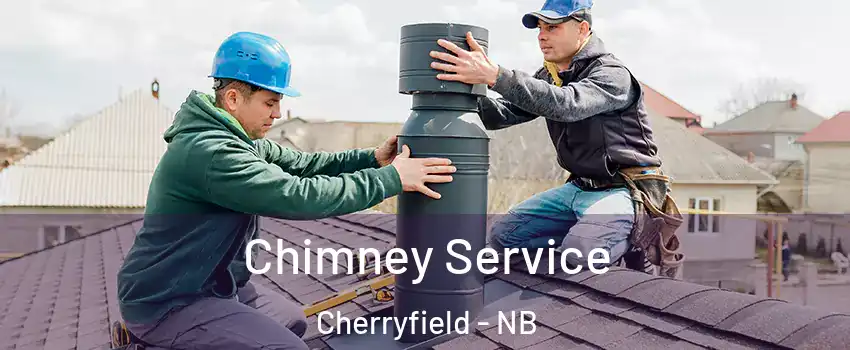  Chimney Service Cherryfield - NB