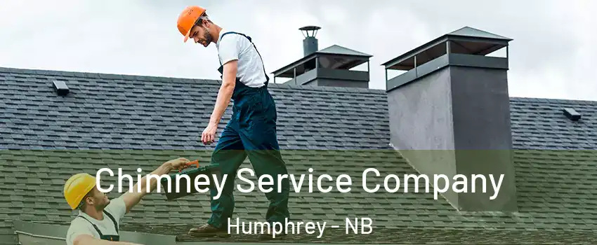  Chimney Service Company Humphrey - NB