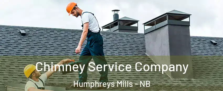 Chimney Service Company Humphreys Mills - NB