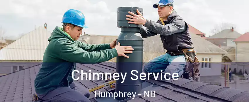  Chimney Service Humphrey - NB