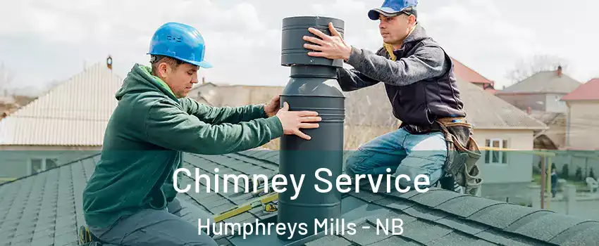  Chimney Service Humphreys Mills - NB