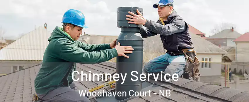 Chimney Service Woodhaven Court - NB