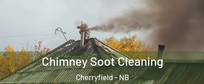  Chimney Soot Cleaning Cherryfield - NB